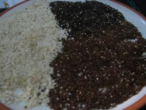 EXPORTACIÓN DE GRANOS ANDINOS SE INCREMENTA EN 167%