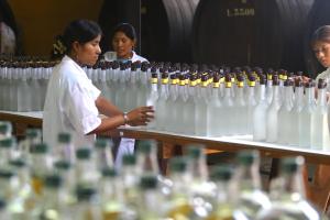 Exportación de pisco creció 93% entre enero y noviembre del 2021