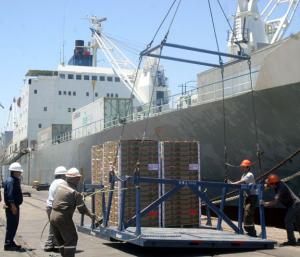 EXPORTACIÓN DEL SECTOR AGRÍCOLA  TRADICIONAL CRECIÓ 53,5%