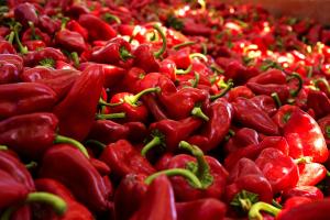 Exportación peruana de pimiento piquillo aumentó en volumen 4% durante enero-octubre de 2020