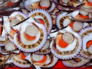 EXPORTACIONES ACUÍCOLAS CRECIERON 39%