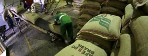 Exportaciones de café en Brasil alcanzaron los 31.52 millones de sacos, registrando un aumento de 15% en 2018