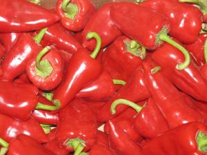 EXPORTACIONES DE PIMIENTO PIQUILLO CRECIERON 174% EN ENERO DE ESTE AÑO