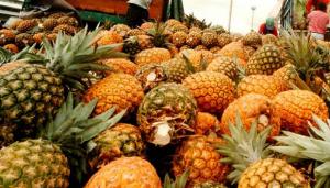 Exportaciones de piña alcanzaron las 267 toneladas por US$ 3.6 millones entre enero y octubre de 2022, mostrando un crecimiento de 19% en volumen y valor