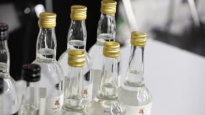 Exportaciones de pisco alcanzaron los US$ 9.5 millones en 2025, mostrando un alza de 11.95%