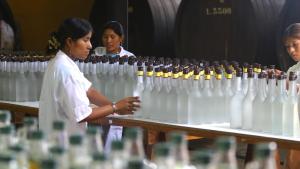 Exportaciones de Pisco caen 24% en valor a mayo de 2026