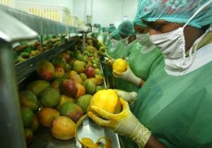 EXPORTACIONES NO TRADICIONALES CRECIERON 12.2%