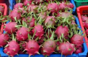 Exportaciones peruanas de pitahaya frescas sumaron US$ 8.85 millones en 2021