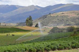 FALTA IRRIGAR MÁS DE 200 MIL HECTÁREAS PARA GARANTIZAR ABASTECIMIENTO DE ALIMENTOS