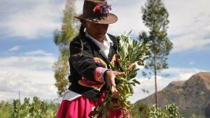 FAO declara 2026 como el Año Internacional de la Agricultora