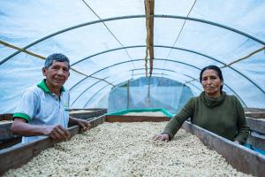 Fondos concursables del PNIA permitieron cofinanciar más de 800 proyectos de innovación agraria en más de 130 productos agropecuarios