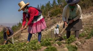 Formagro lanza edición extraordinaria del Fondo Wiñay en Lima y Áncash
