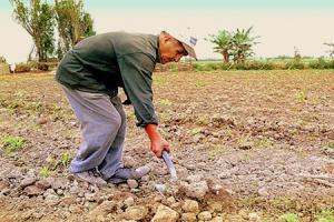 FORMALIZACION DE EMPLEO Y ACCESO A SEGURIDAD SOCIAL EN DEBATE