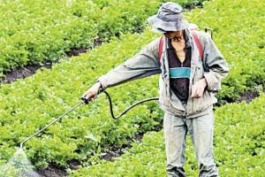 FORMARÁN QUINCE CADENAS PRODUCTIVAS AGROEXPORTADORAS