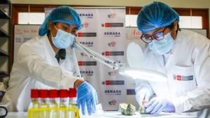 Fortalecen la sanidad agraria en Cusco con dos nuevos locales del Senasa