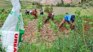 Gobierno amplía hasta el 31 de octubre el plazo de compra y entrega de urea a productores agrarios