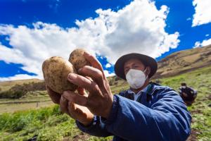 Gobierno crea comisión de alto nivel para enfrentar crisis alimentaria y agrícola