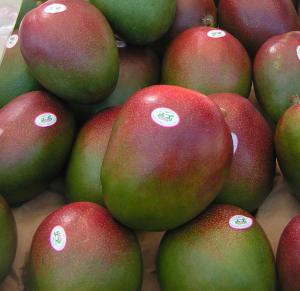 GOBIERNO DE JAPÓN FINANCIARÁ PLANTA PARA MANGO DESHIDRATADO