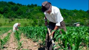 Gobierno formalizará 398 licencias para uso poblacional y 274 licencias para uso agrario en bloque de riego