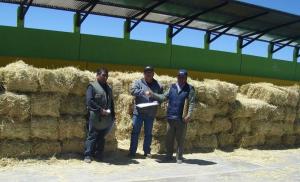 GOBIERNO REGIONAL DE TACNA INVERTIRÁ 400 MIL SOLES PARA ALIMENTOS DE GANADO