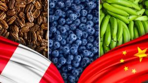 Gracias a Chancay, el agro peruano puede replicar el éxito chileno en China