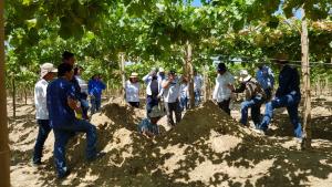 Gran potencial en agroindustria nacional tienen los productos agrícolas de especialidad orientados a la nutrición y la sanidad