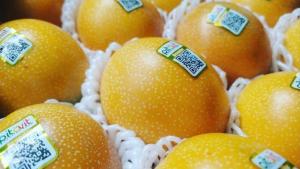 Granadilla ecuatoriana: el auge exportador enfrenta su prueba sanitaria en Europa