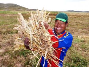 GRANDES EMPRESAS Y PRODUCTORES SE UNEN PARA PROMOVER CONSUMO DE QUINUA