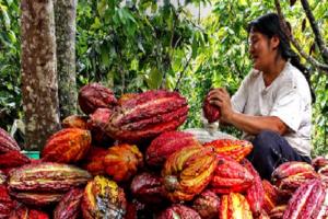 Gremios de agricultores y Comunidades Nativas denuncian no ser escuchados por Comisión de Pueblos Andinos, Ambiente y Ecología del Congreso en informe que les afecta directamente