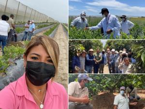 Grupo Andina ofrece productos para la agricultura que permitan maximizar la productividad y la calidad de los cultivos