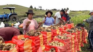Grupo de Trabajo promoverá compras estatales de alimentos a la agricultura familiar
