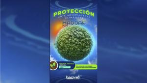 Haddak Plus, prevención eficaz contra los efectos negativos provocados por estrés abiótico