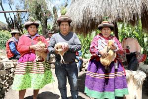 Haku Wiñay: entérese como las tecnologías productivas generan cambios en la vida de 359.842 familias de bajos recursos