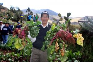 HAKU WIÑAY FINANCIARÁ 21 NEGOCIOS RURALES EN SIERRA DE LIMA