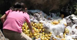 HASTA 37% DEL HAMBRE EN EL MUNDO DESAPARECERÍA CON COMIDA QUE DESPERDICIA AMÉRICA LATINA