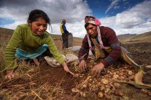 Hernando de Soto exige que también se vacune a 2.2 millones de productores agropecuarios