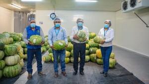 Hito agroexportador en Moquegua: San Antonio realiza su primera exportación de zapallo a Chile