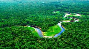 Hoy: Candidatos presidenciales expondrán planes para la amazonia