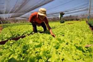 HOY DEBATEN EXPERTOS INTERNACIONALES EN FINANCIAMIENTO RURAL