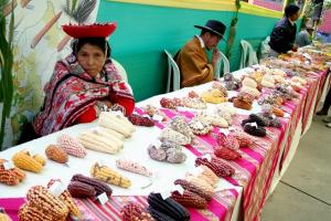 Hoy se inicia el Festival Nacional de la Agrobiodiversidad