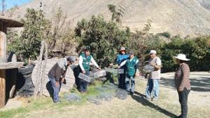 Huancavelica: Senasa atiende notificación por presencia de roedores