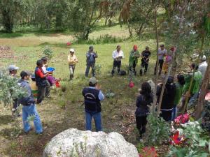 HUARI: SEGUNDA ETAPA DE PROYECTO DE FORESTACIÓN SUPERÓ LAS 400 HECTÁREAS