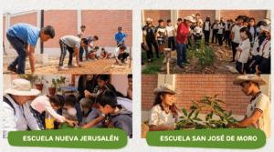 Huertos Bosque: una solución para mejorar la nutrición en el Perú desde la escuela