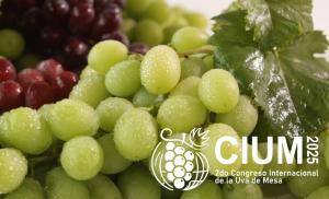 II Congreso Internacional de la Uva de Mesa  generará una reflexión estratégica sobre el posicionamiento global de esta fruta