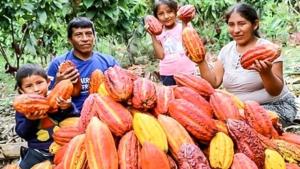 Implementan 31 planes de negocios ecoamigables en Loreto, Madre de Dios y San Martín