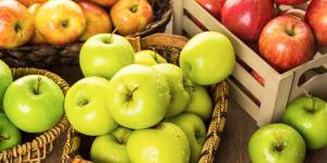 Importaciones peruanas de manzana llegan a los US$ 8.7 millones en primer trimestre de 2024