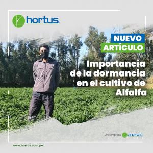 Importancia de la dormancia en el cultivo de Alfalfa