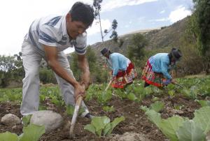 IMPULSAN PROYECTOS DE DESARROLLO EN CENTROS POBLADOS DE LA MAR, AYACUCHO