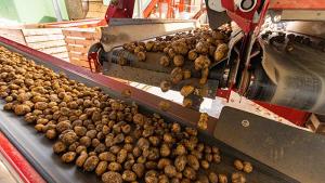 Inacal desarrolló más de 5.700 normas técnicas para la calidad de productos y servicios en el Perú