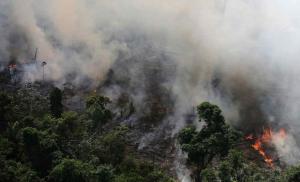 Incendios de la Amazonía en Brasil sacan a flote las políticas ambientales de Bolsonaro